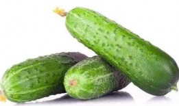 吃瓜黄网大全免费,免费畅游网络娱乐新天地