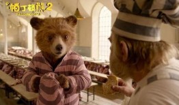 娱乐资讯君爆料小熊,小熊新动态，揭秘幕后故事