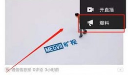 获奖的爆料视频在哪看啊,独家观看指南